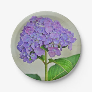 Prato De Papel Placa de papel Hydrangea