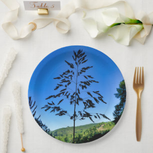 Prato De Papel Placa de papel Johnson Grass