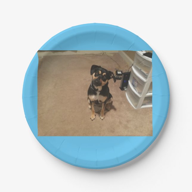 Prato De Papel Placa de papel Josie (Frente)