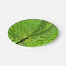 Placa de papel - Palma tropical