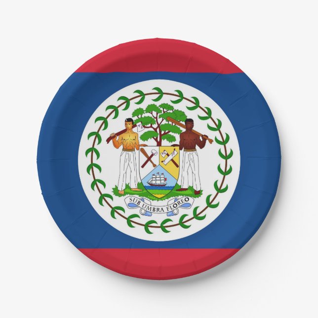Prato De Papel Placa de papel Patriótica com bandeira de Belize (Frente)