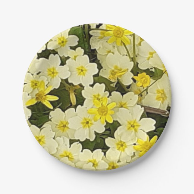 Prato De Papel Placa de papel primavera Primroses (Frente)