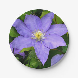 Prato De Papel Placa de papel Puro Clematis