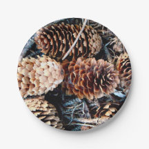 Placa do Pine Cone