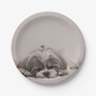 Prato De Papel Placa personalizada do tzu de Shih, cão do sono