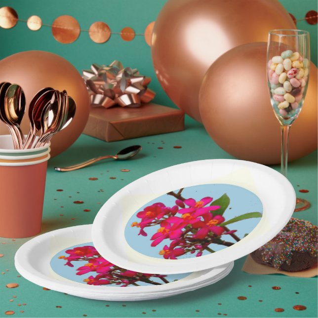 Prato De Papel Placas (Múltiplo)