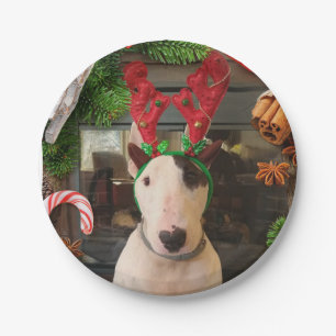 Prato De Papel Placas de Natal Rex
