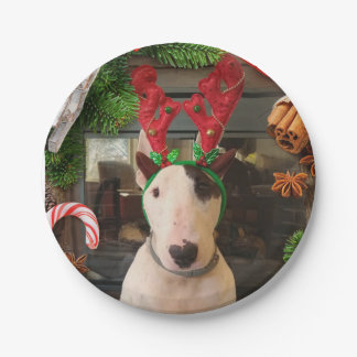 Prato De Papel Placas de Natal Rex