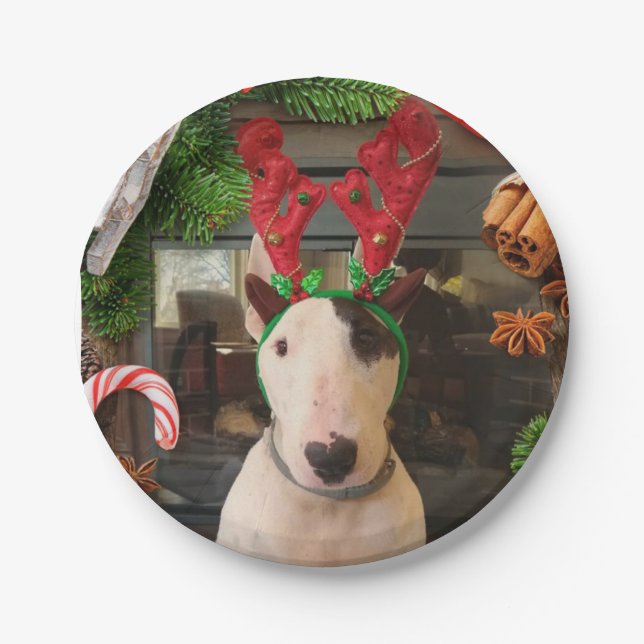 Prato De Papel Placas de Natal Rex (Frente)