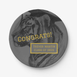 Prato De Papel Placas de papel de festa de formatura