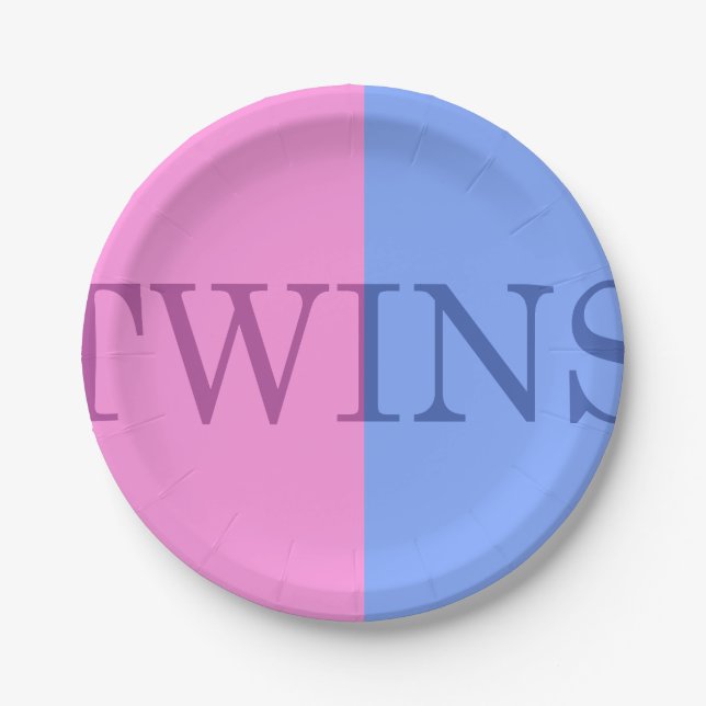 PRATO DE PAPEL PLACAS DE PAPEL DE GÊMEOS FRATERNOS DO BEBÉ E DA (Frente)