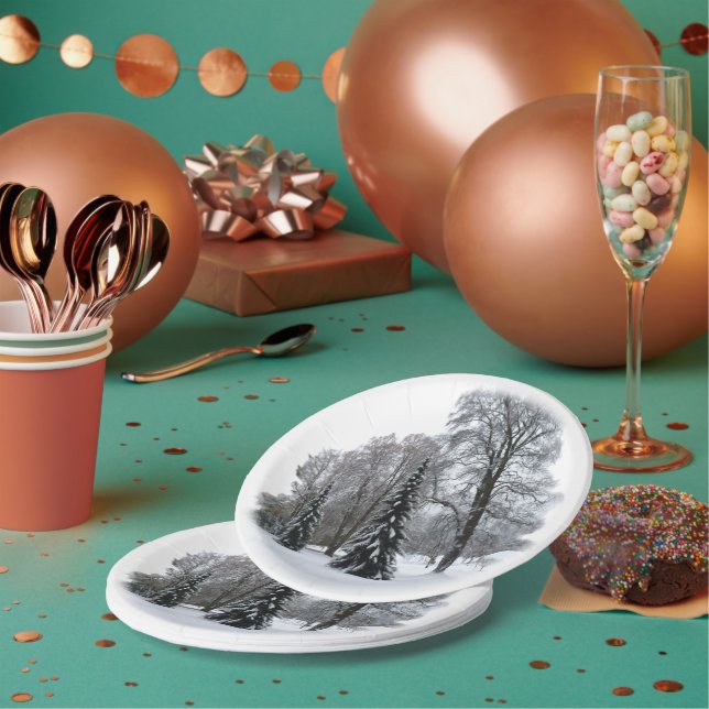 Prato De Papel Placas de papel de Natal Placas Wonderland (Múltiplo)