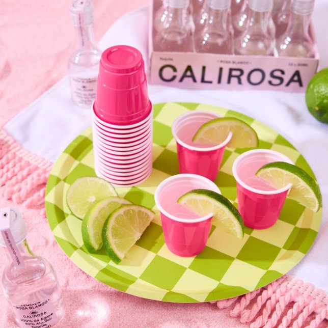 Prato De Papel Placas de papel de parte com verificação de verde  (Criador carregado)