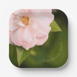 Prato De Papel Placas de papel do Designer Quadrado de Rosa de Ja