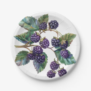 Prato De Papel Placas de papel e de festas