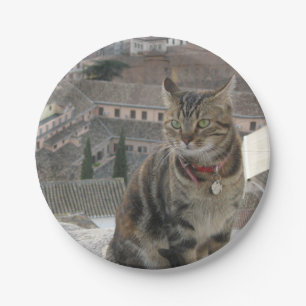 Prato De Papel Placas de papel fotográfico para gatos