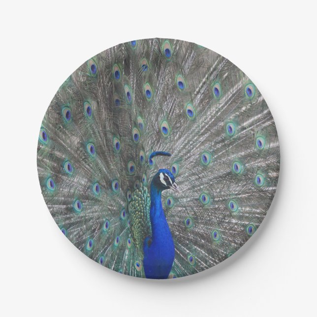 PRATO DE PAPEL PLACAS DE PAPEL FOTOGRÁFICO PEACOCK (Frente)