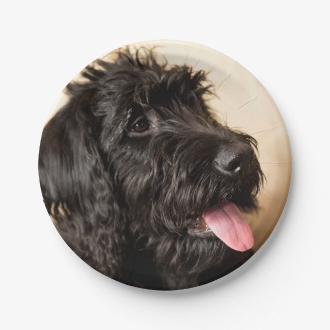 Prato De Papel Placas de papel Labradoodle, 7" (Frente)