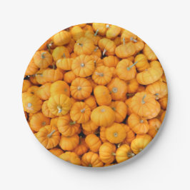 Prato De Papel Placas de Papel para Colheita Laranja Pequena