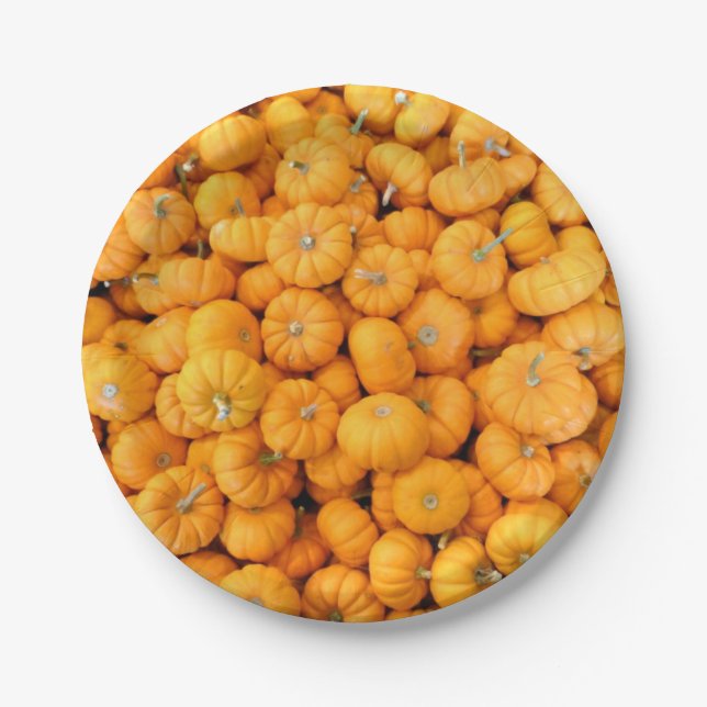 Prato De Papel Placas de Papel para Colheita Laranja Pequena (Frente)