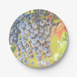 Prato De Papel Placas de papel para uvas para vinhedo