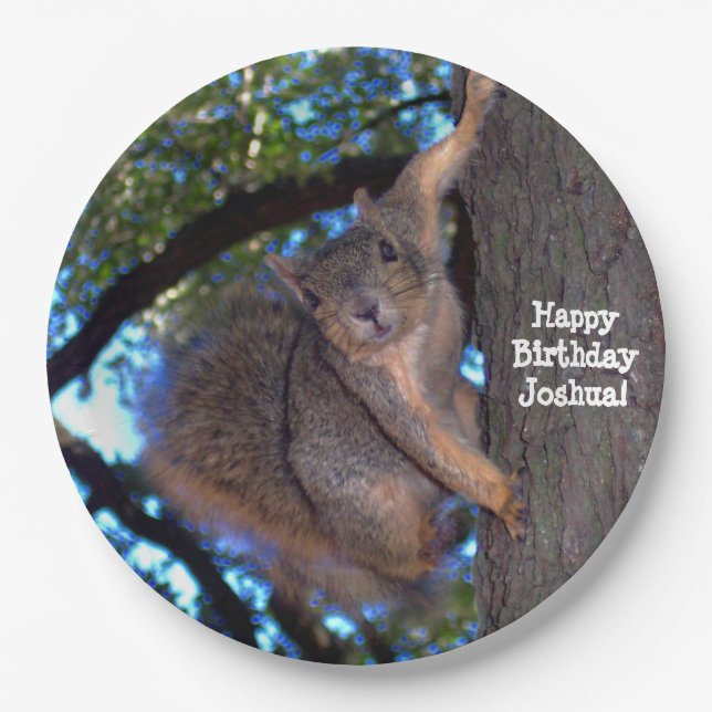 Prato De Papel Placas de papel personalizadas do esquilo (Frente)