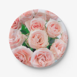 Prato De Papel Placas de papel rosa rosa rosa rosa