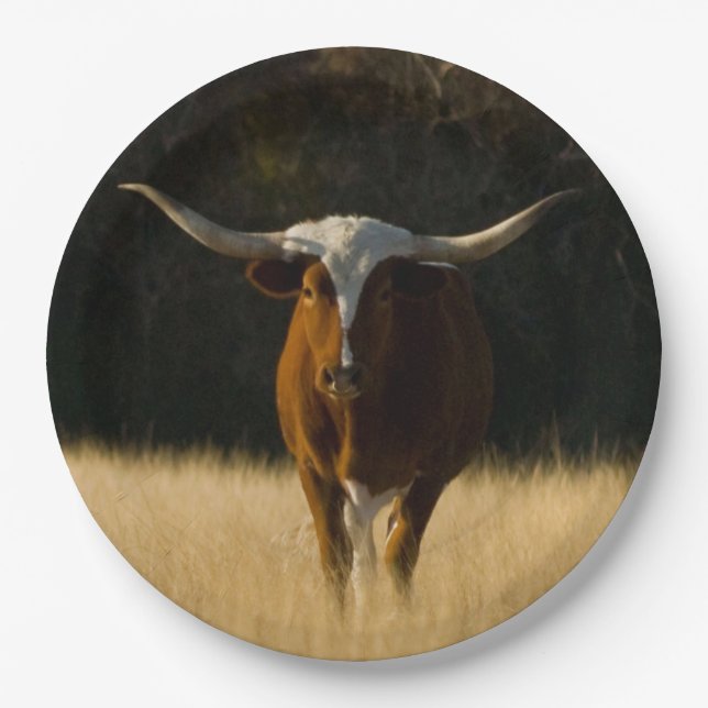 Prato De Papel Placas de papel Texas Longhorn (Frente)