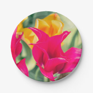 Prato De Papel placas de tulipa únicas