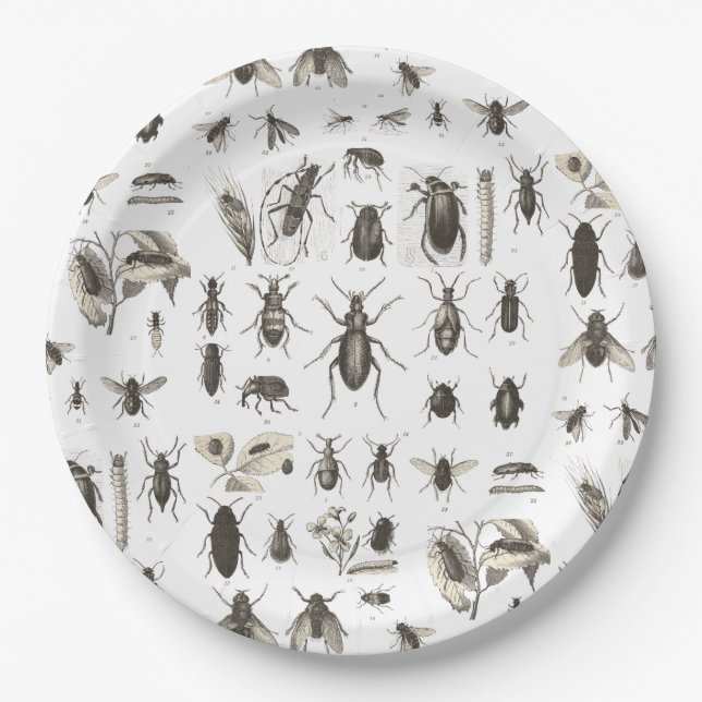 Prato De Papel Placas engraçadas do aniversário de criança do (Frente)