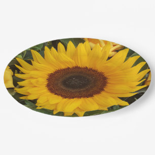 Prato De Papel Placas florais da fotografia da flor do girassol