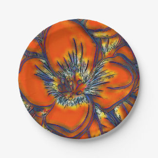 Prato De Papel Placas Studio16