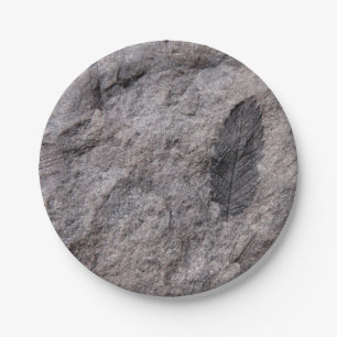 Prato De Papel Planta Fossilizada 350 Milhões De Anos. Impressão