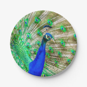 Prato De Papel Plumagem de Peacock