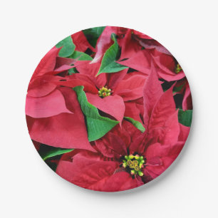 Prato De Papel Poinsettia