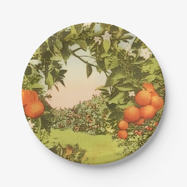 Prato De Papel Pomar de Laranja Vintage (Frente)