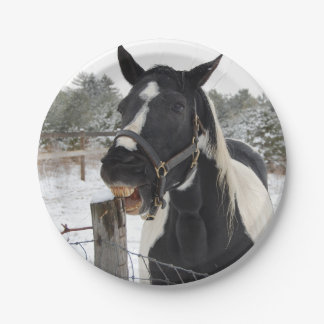 Prato De Papel Posto de cerca de mascar cavalos