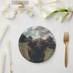 Prato De Papel Prados negros e pastagens de vaca escocesa