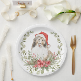 Prato De Papel Prateleiras em um Chapéu Santa