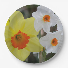 Prato De Papel Primavera Daffodil Blooms Floral