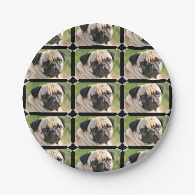 Prato De Papel Pug bonito (Frente)