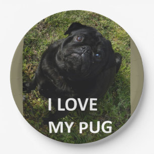 Prato De Papel pug preto amor c foto