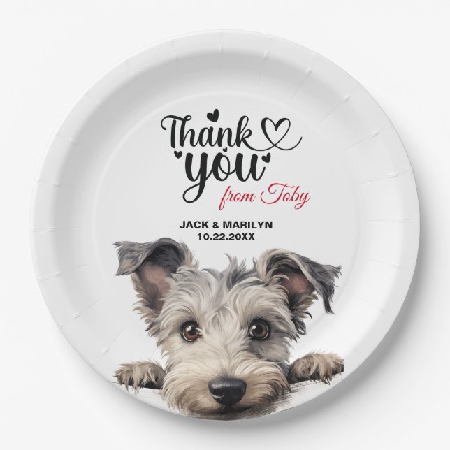 Prato De Papel Pumi (Frente)