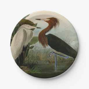 Prato De Papel Púrpura Heron Audubon Bird Willife Painting