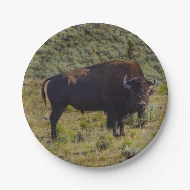 Prato De Papel Quem você que olha (Frente)