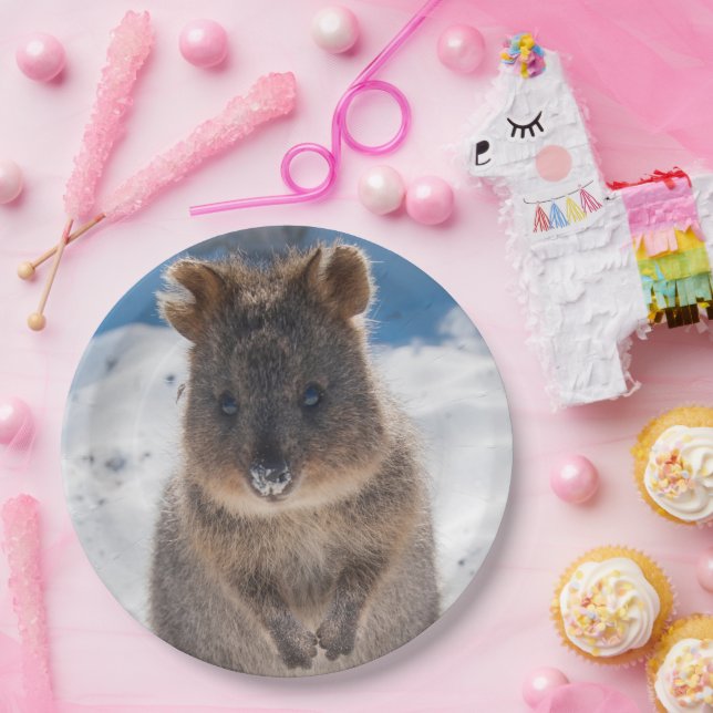 Prato De Papel Quokka on the beach Australia, Cute Animal Photo (Festa)