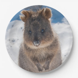 Prato De Papel Quokka on the beach Australia, Cute Animal Photo