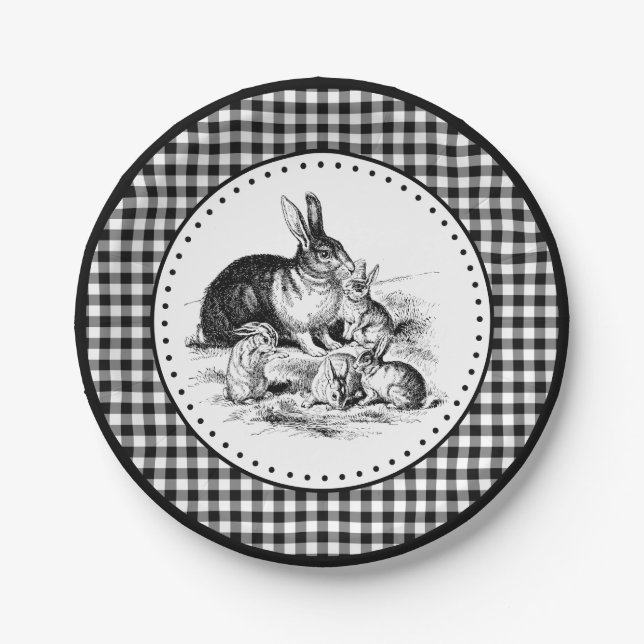 Prato De Papel Rabbit Gingham (Frente)