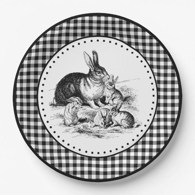 Prato De Papel Rabbit Gingham (Frente)