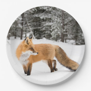Prato De Papel Raposa Vermelha na Neve Branca